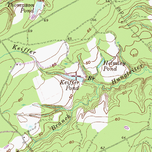 Topographic Map of Keiffer Pond, GA