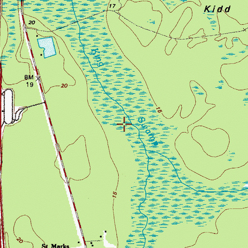 Topographic Map of King Swamp, GA