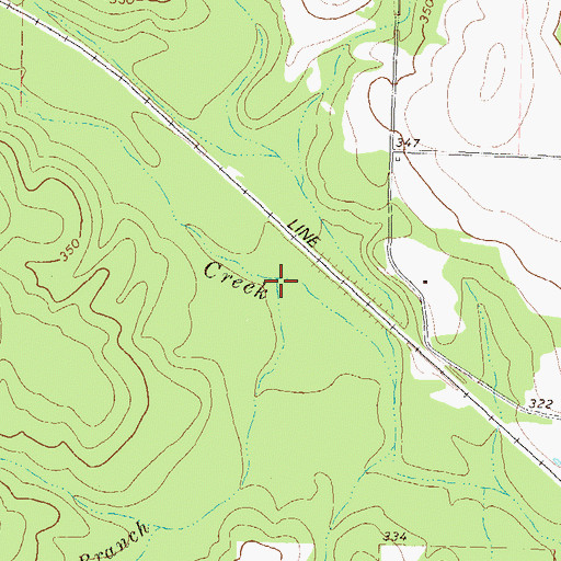 Topographic Map of Kings Branch, GA