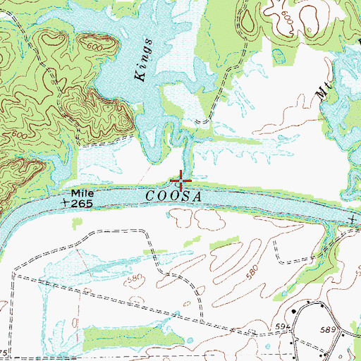 Topographic Map of Kings Creek, GA
