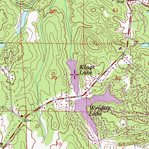 Topographic Map of Kings Lake, GA