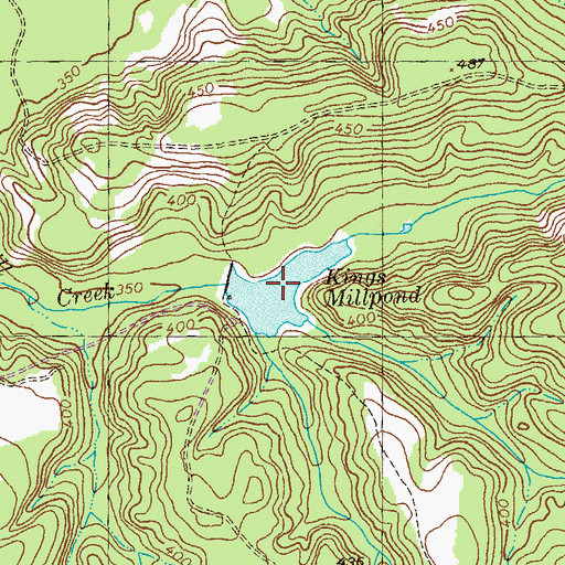Topographic Map of Kings Millpond, GA