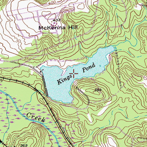 Topographic Map of Kings Pond, GA