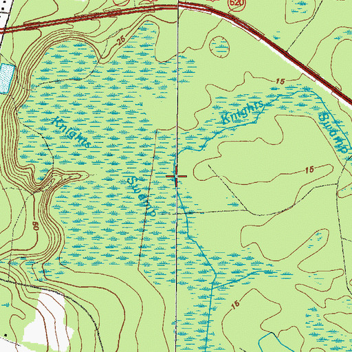 Topographic Map of Knights Swamp, GA