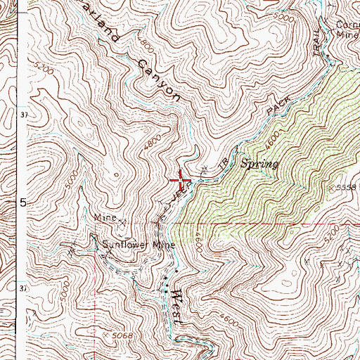 Topographic Map of McFarland Canyon, AZ