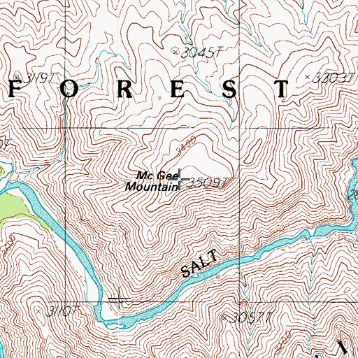 Topographic Map of McGee Mountain, AZ
