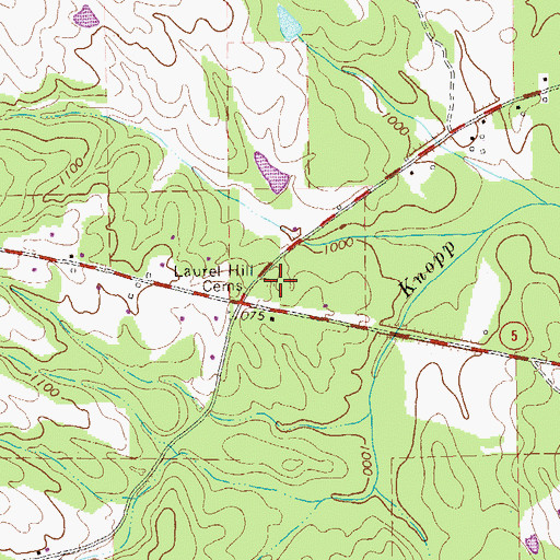 Topographic Map of Laurel Hill Cemetery, GA