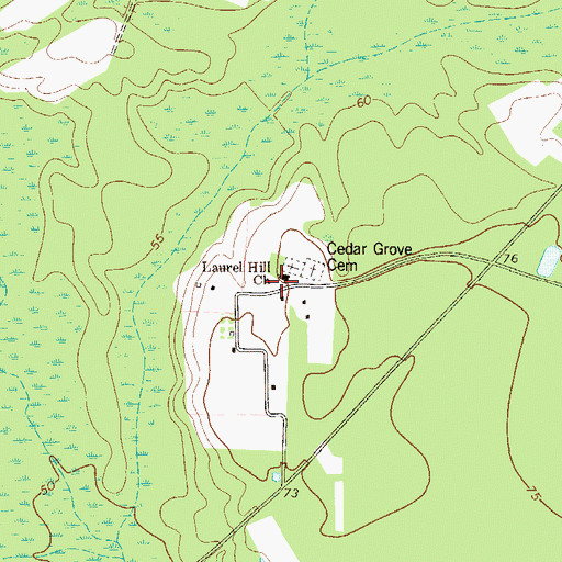 Topographic Map of Laurel Hill Church, GA