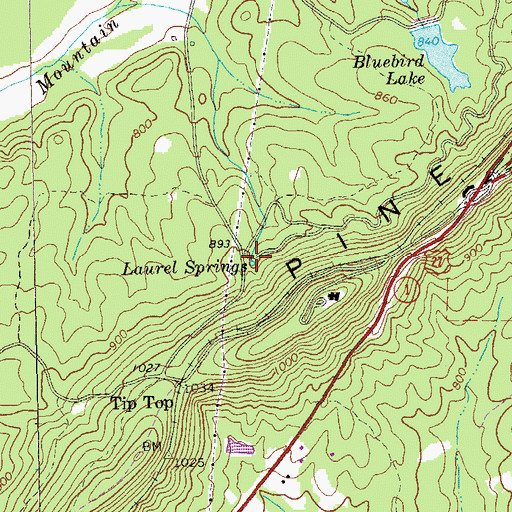 Topographic Map of Laurel Springs, GA