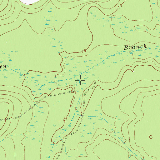 Topographic Map of Lee Branch, GA