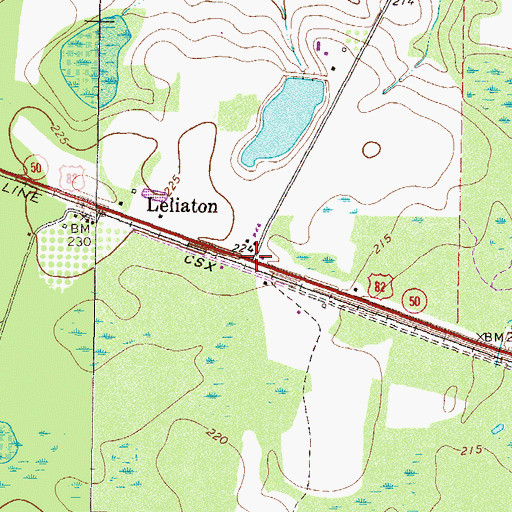 Topographic Map of Leliaton, GA