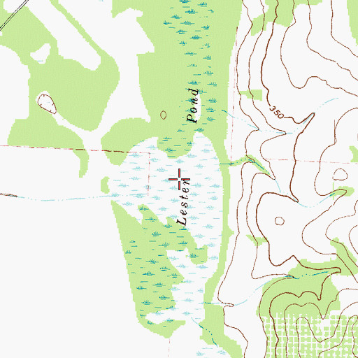 Topographic Map of Lester Pond, GA