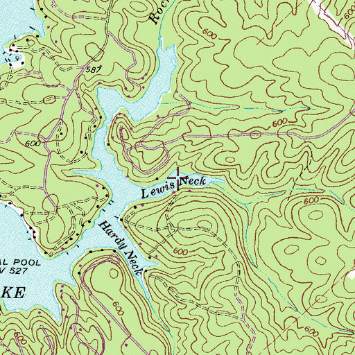 Topographic Map of Lewis Neck, GA
