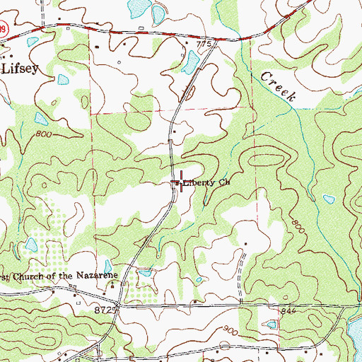 Topographic Map of Liberty Church, GA