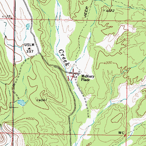 Topographic Map of McNary Place, AZ