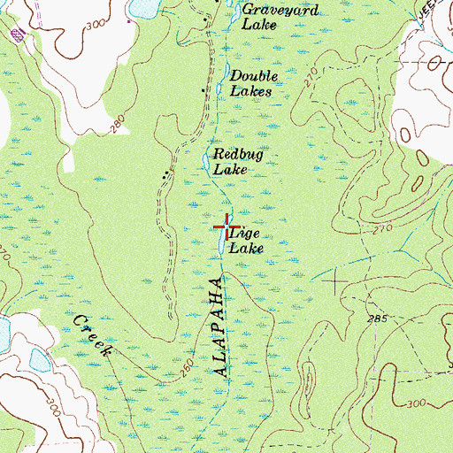 Topographic Map of Lige Lake, GA