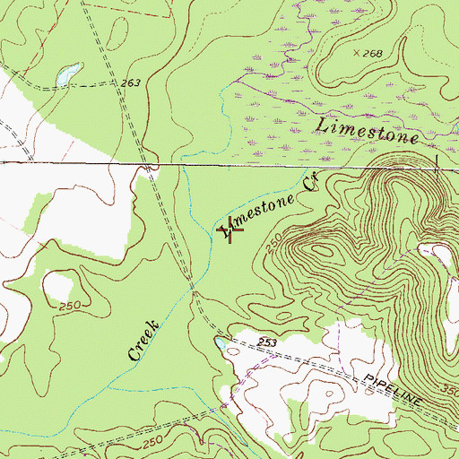 Topographic Map of Limestone Creek, GA