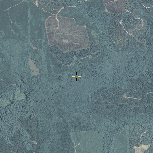 Aerial/Satellite Image of Little Creek, GA