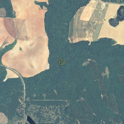 Aerial/Satellite Image of Little Creek, GA