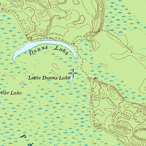 Topographic Map of Little Dunns Lake, GA