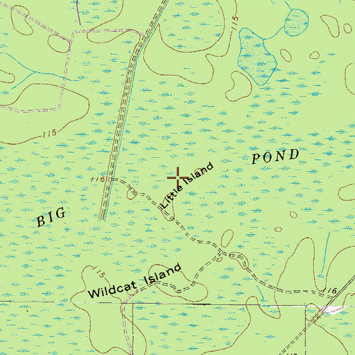 Topographic Map of Little Island, GA