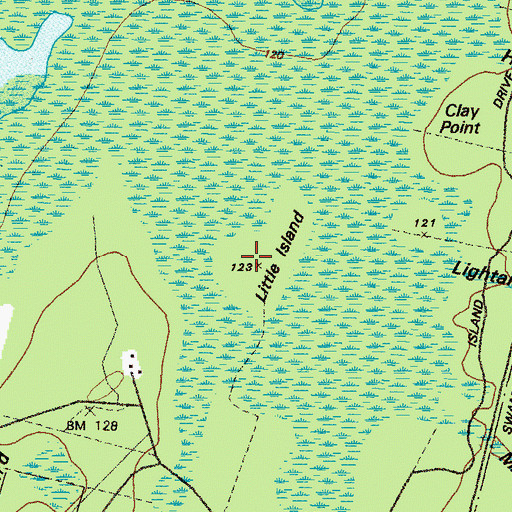 Topographic Map of Little Island, GA