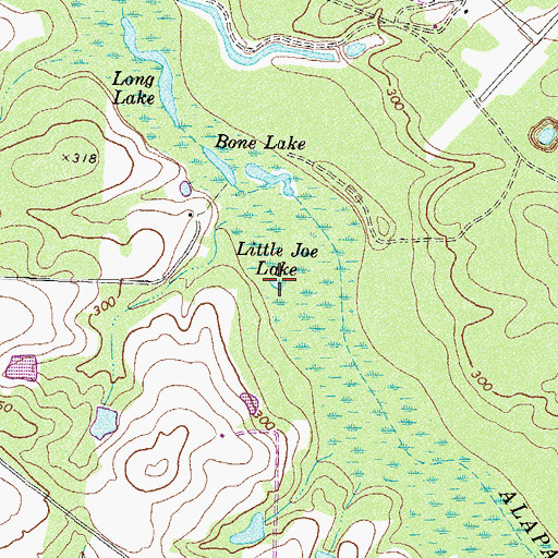Topographic Map of Little Joe Lake, GA