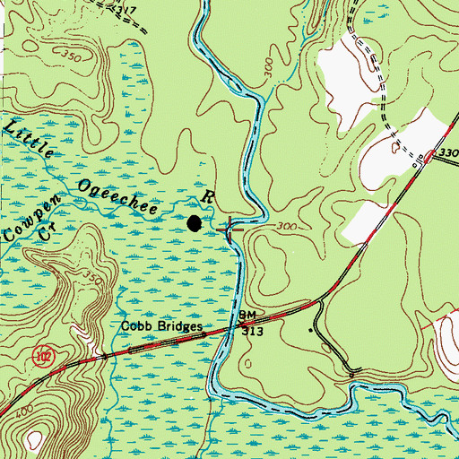 Topographic Map of Little Ogeechee River, GA