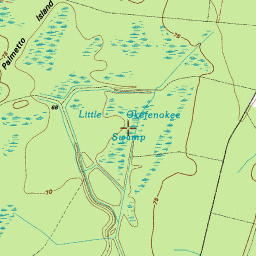 Topographic Map of Little Okefenokee Swamp, GA