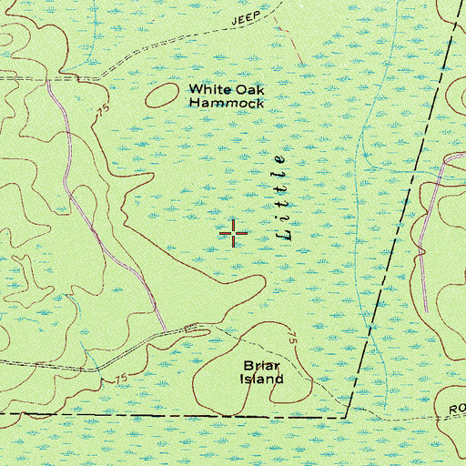 Topographic Map of Little Okefenokee Swamp, GA