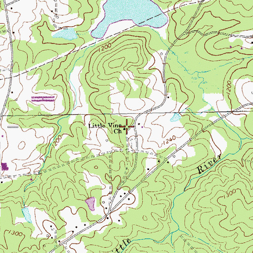 Topographic Map of Little Vine Church, GA