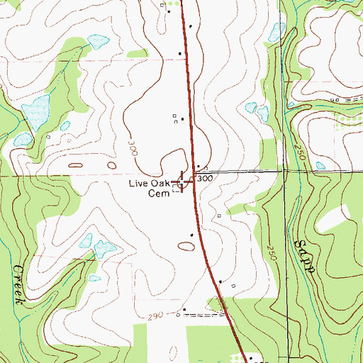 Topographic Map of Live Oak Cemetery, GA