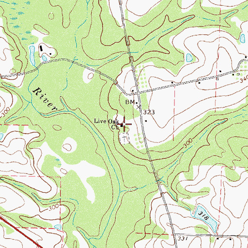 Topographic Map of Live Oak Church, GA