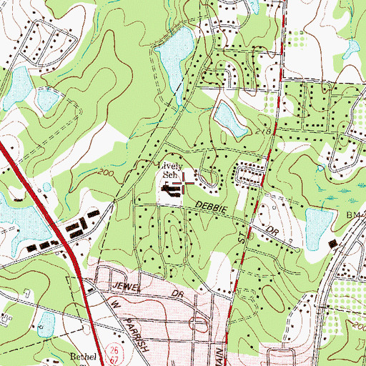 Topographic Map of Lively School, GA