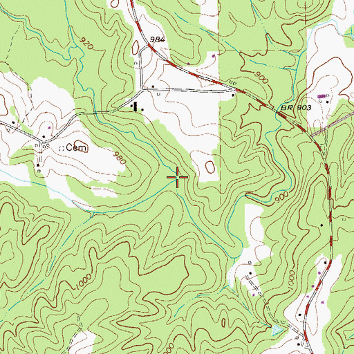 Topographic Map of Lizzies Branch, GA