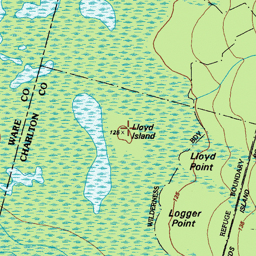 Topographic Map of Lloyd Island, GA