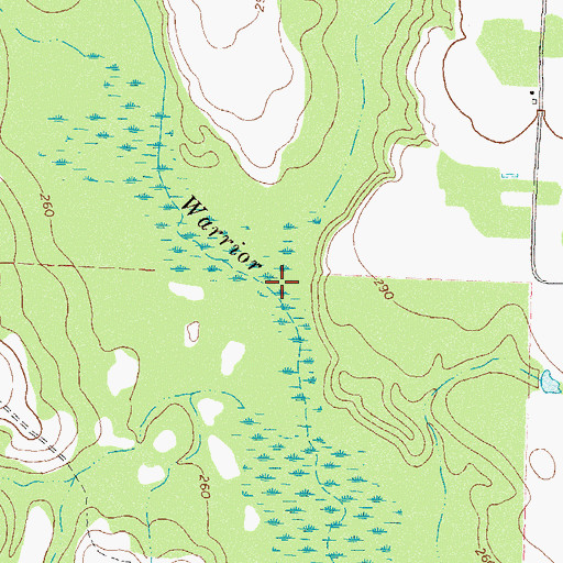 Topographic Map of Lolly Creek, GA