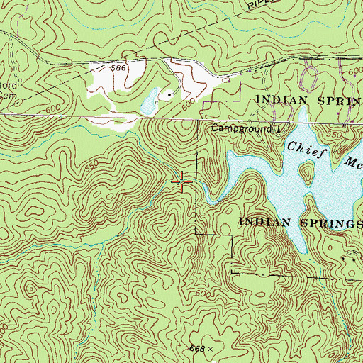 Topographic Map of Long Branch, GA