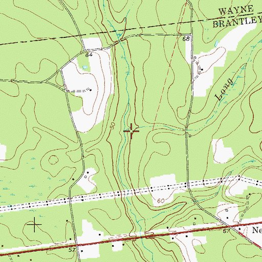 Topographic Map of Long Branch, GA