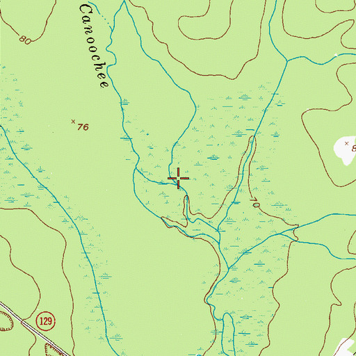 Topographic Map of Long Branch, GA