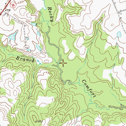Topographic Map of Long Branch, GA