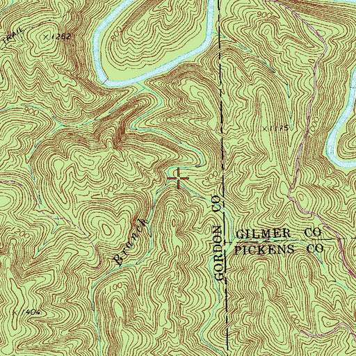 Topographic Map of Long Branch, GA