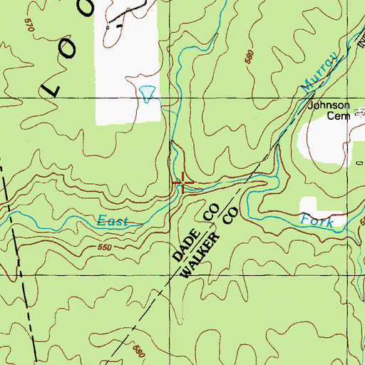 Topographic Map of Long Branch, GA