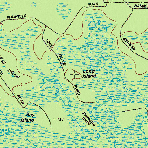 Topographic Map of Long Island, GA