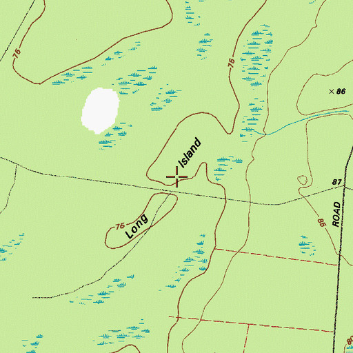 Topographic Map of Long Island, GA