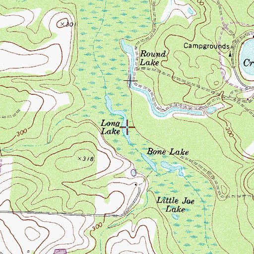 Topographic Map of Long Lake, GA