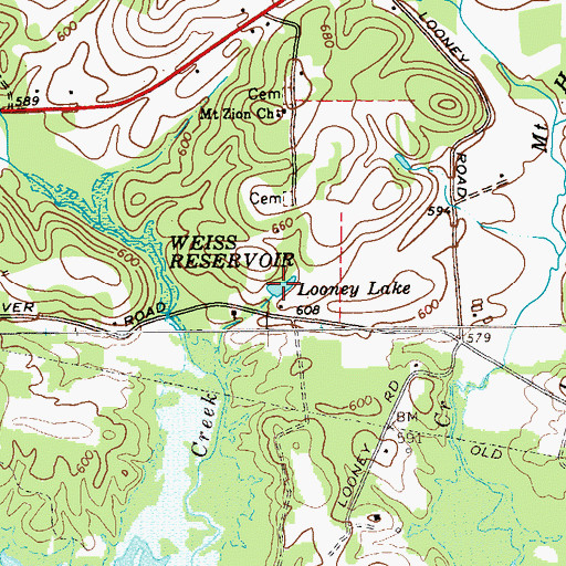 Topographic Map of Looney Lake, GA