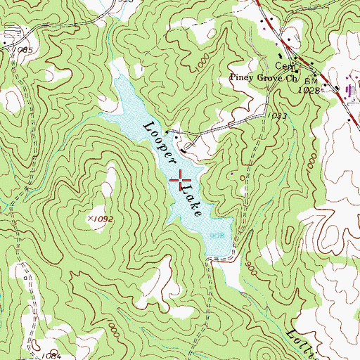 Topographic Map of Looper Lake, GA
