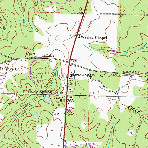 Topographic Map of Love Joy Church, GA