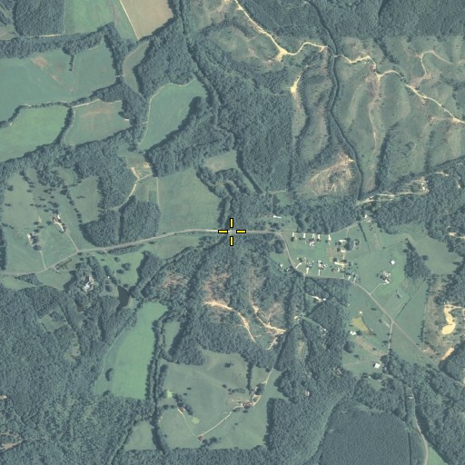 Aerial/Satellite Image of Loves Bridge, GA